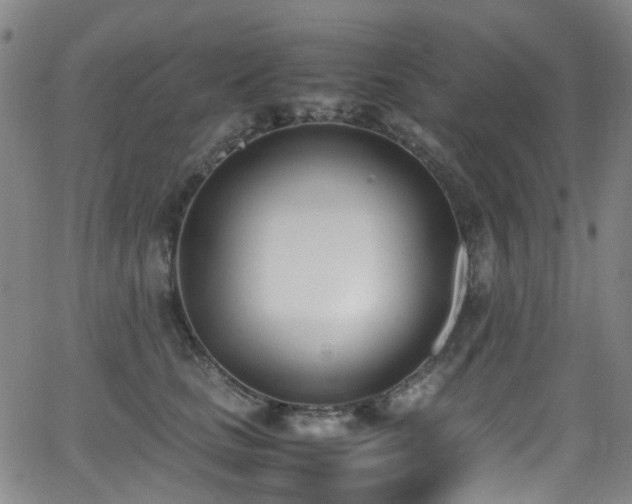 X0000062930661200601131513