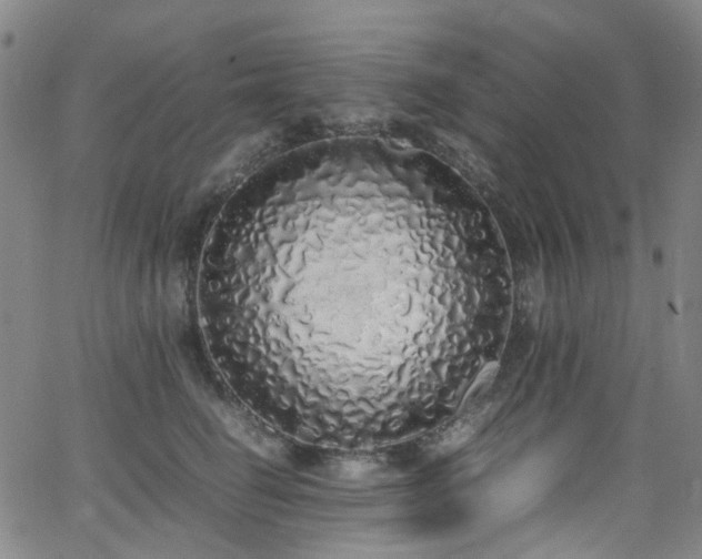 X0000062930662200601131513