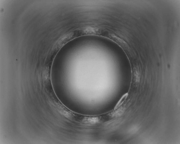 X0000062930665200601131513