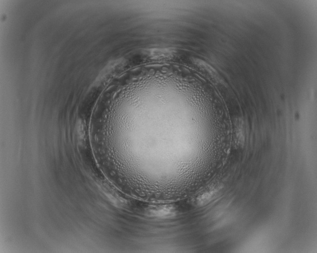 X0000062930667200601131513