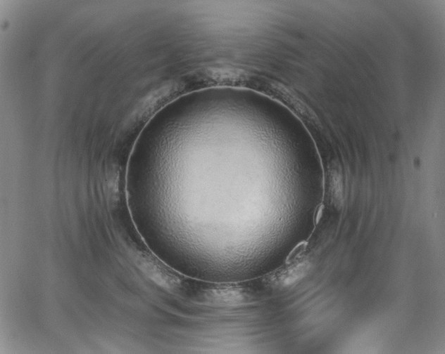 X0000062930668200601131513