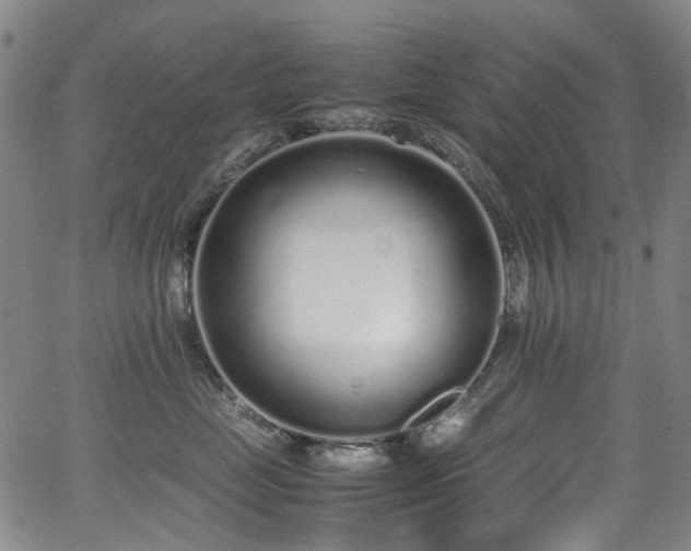 X0000062930669200601131513