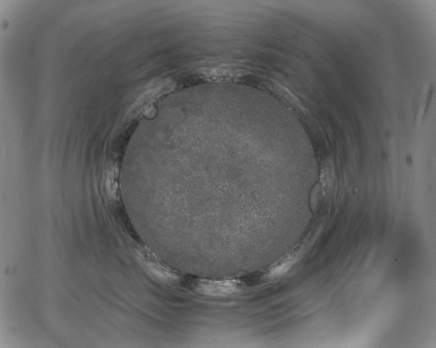 X0000062930671200601131513