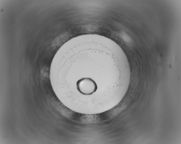 X0000062930672200601131513