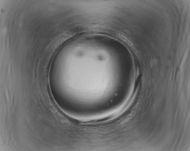 X0000062930673200601131512