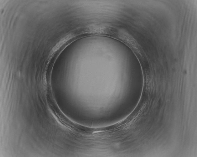 X0000062930674200601131512