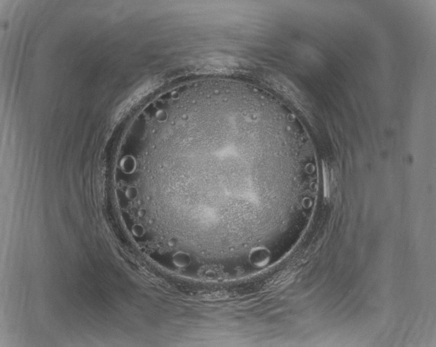 X0000062930675200601131512