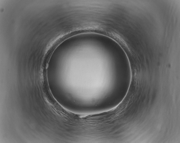 X0000062930676200601131512