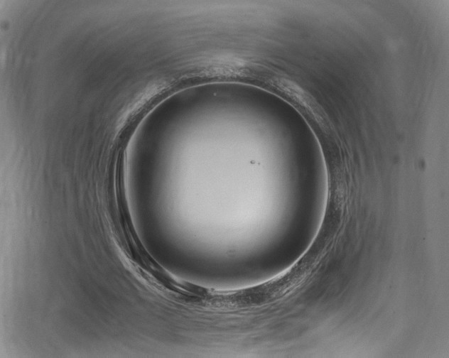 X0000062930677200601131512