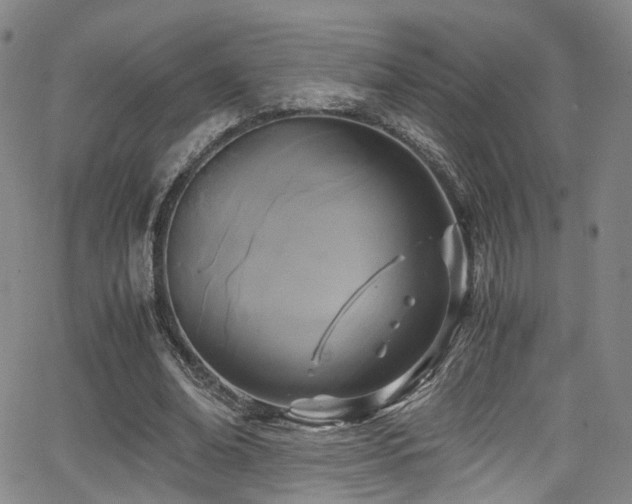 X0000062930678200601131512