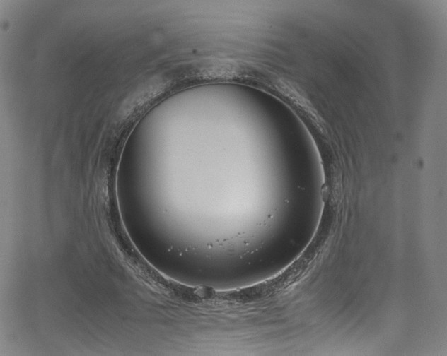 X0000062930681200601131512