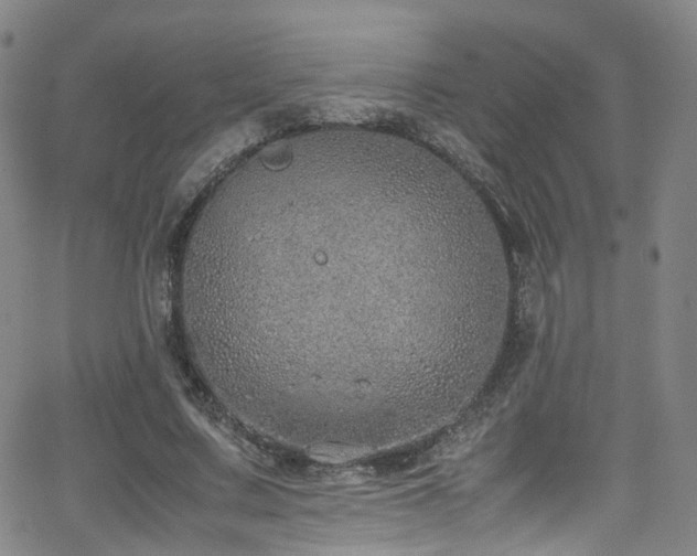 X0000062930683200601131512