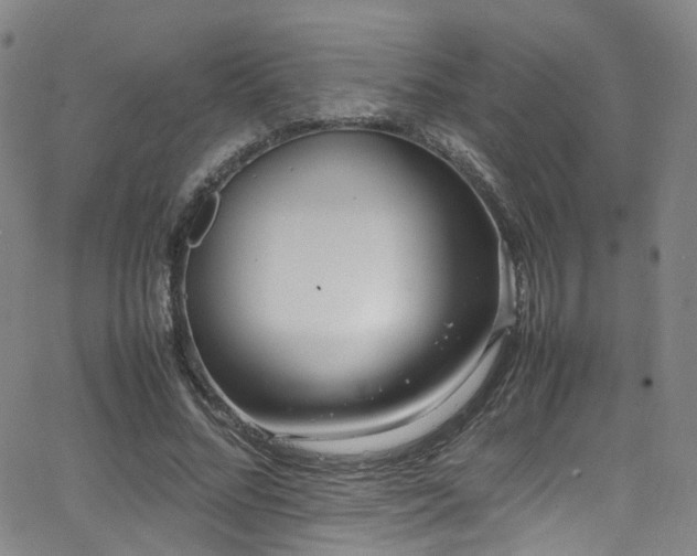 X0000062930684200601131512