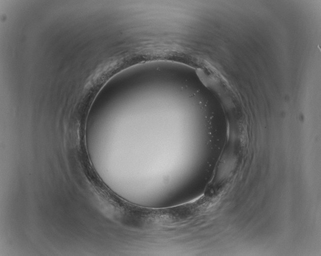 X0000062930685200601131512