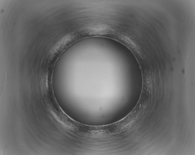 X0000062930686200601131512