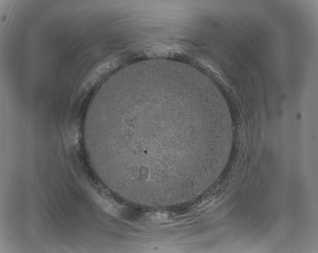 X0000062930687200601131512