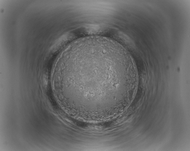 X0000062930691200601131512