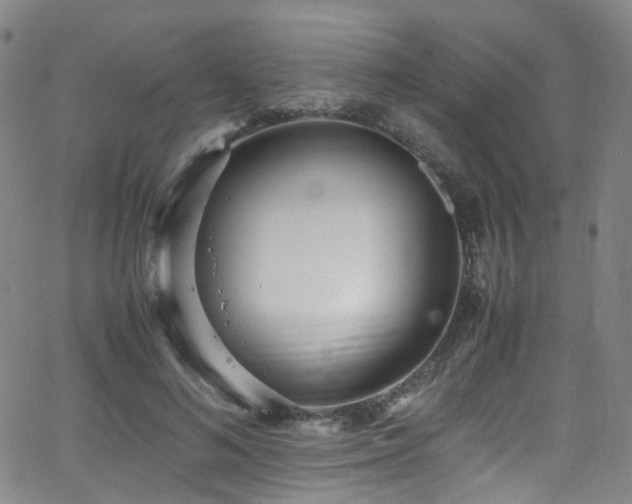 X0000062930692200601131512