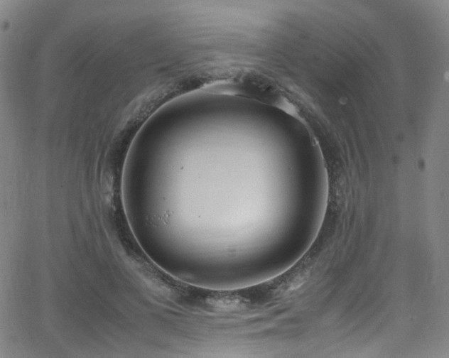 X0000062930693200601131512