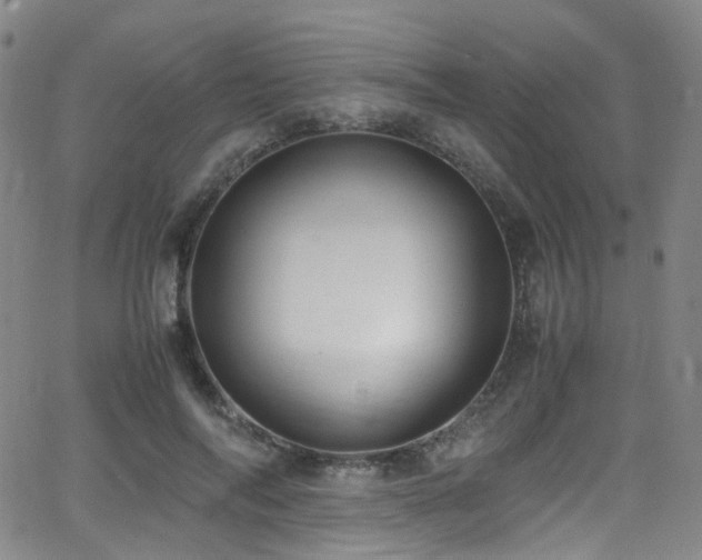 X0000062930694200601131512