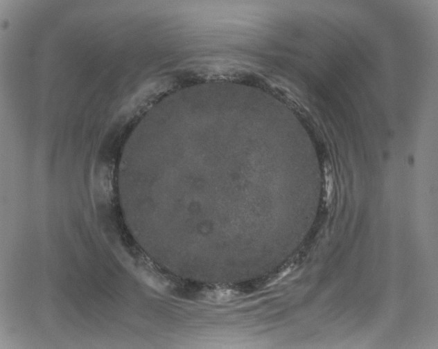 X0000062930695200601131512