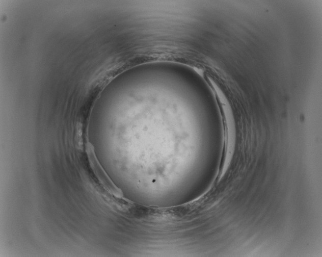 X0000062930696200601131512