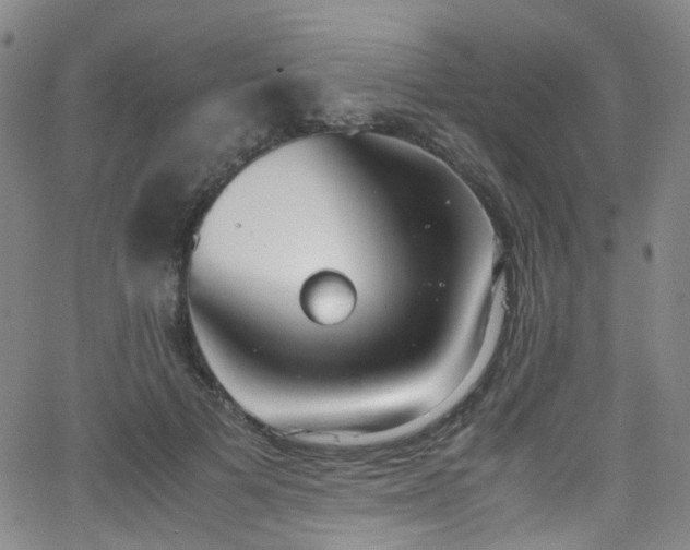 X0000062930697200601131511