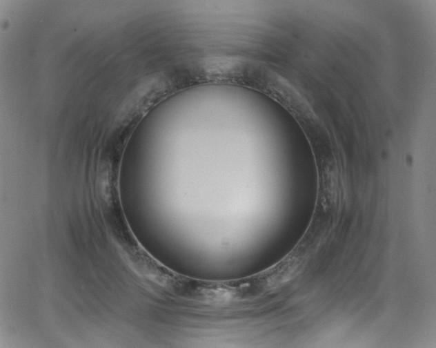 X0000062930698200601131511