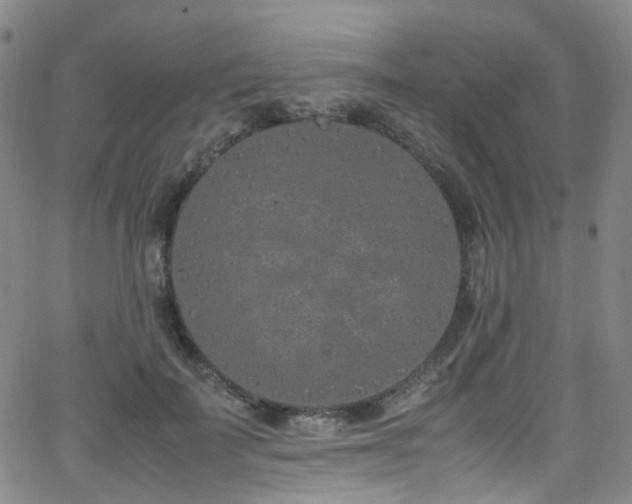 X0000062930699200601131511