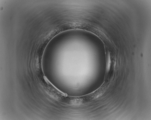 X0000062930700200601131511