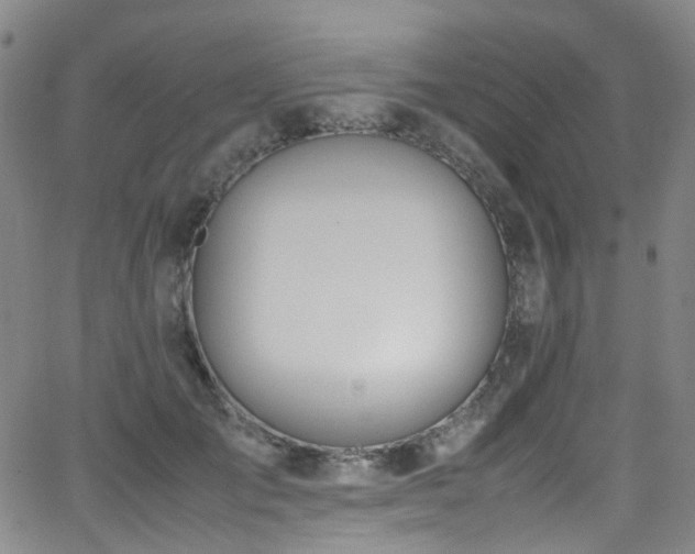 X0000062930701200601131511