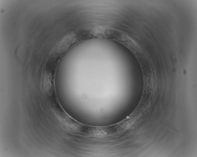 X0000062930702200601131511