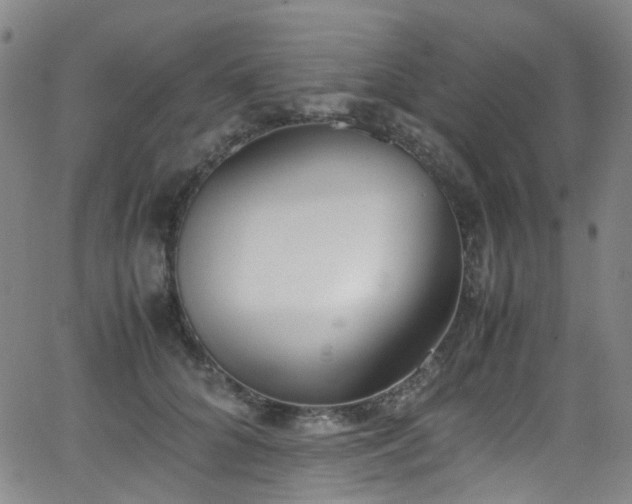 X0000062930704200601131511