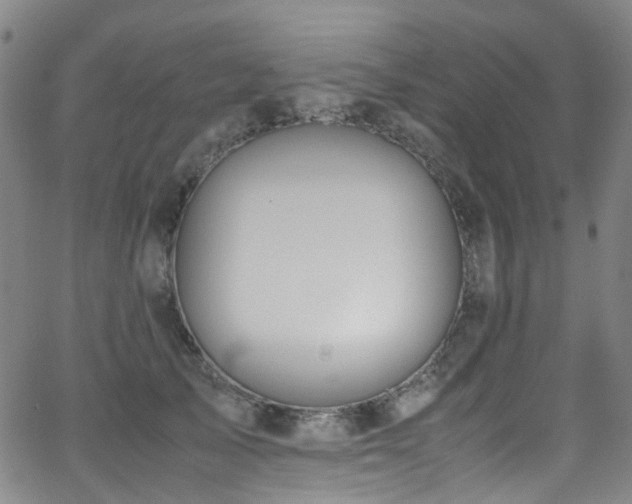 X0000062930705200601131511