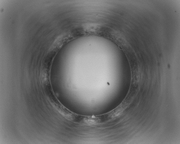 X0000062930706200601131511