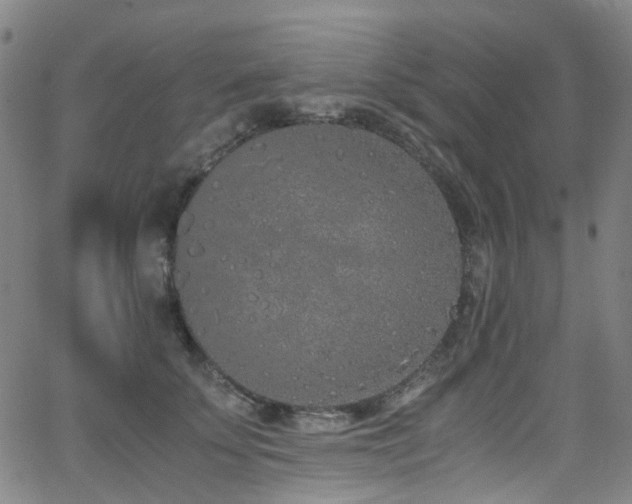 X0000062930707200601131511