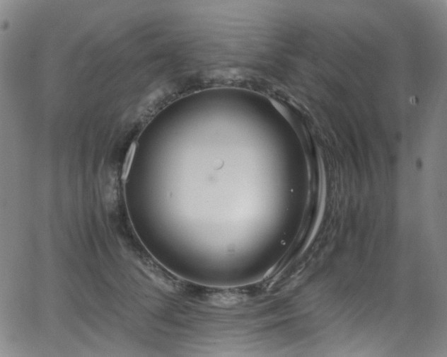 X0000062930708200601131511