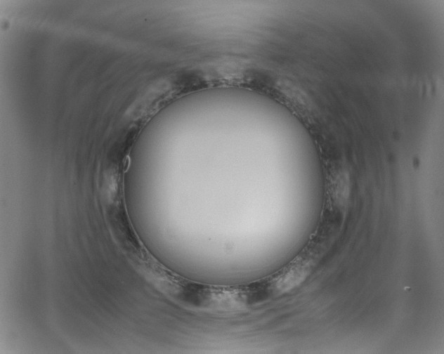 X0000062930709200601131511