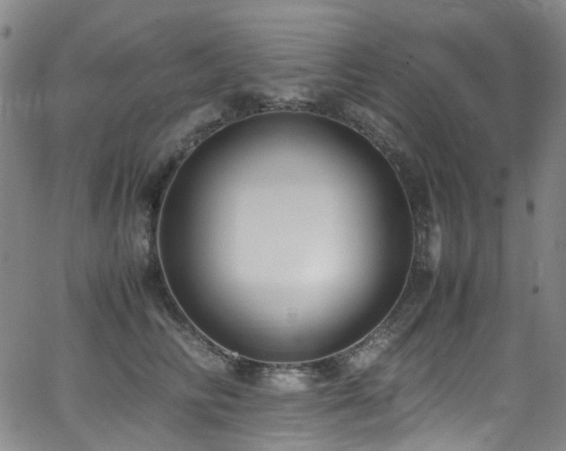 X0000062930710200601131511