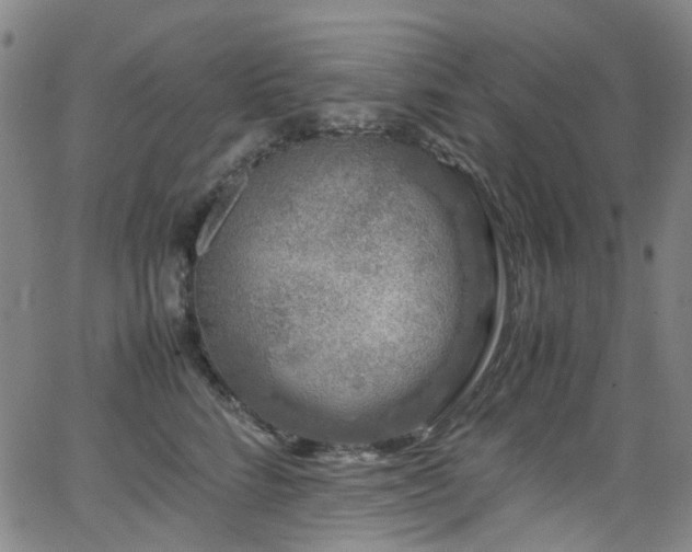 X0000062930712200601131511