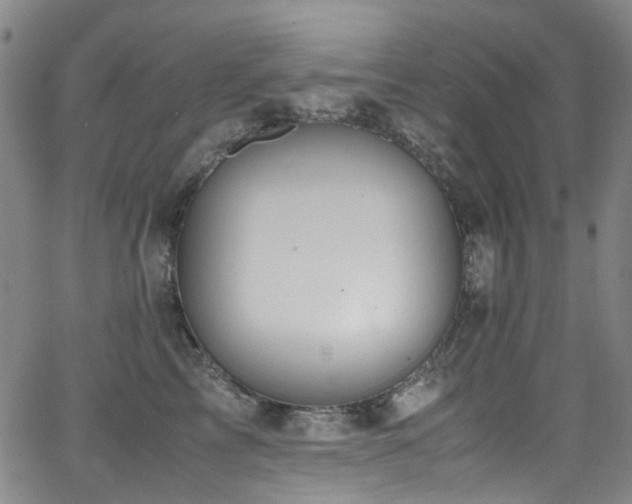 X0000062930713200601131511