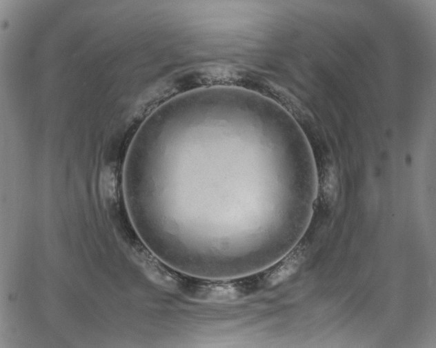 X0000062930715200601131511