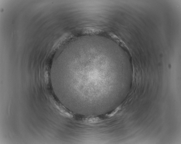 X0000062930716200601131511