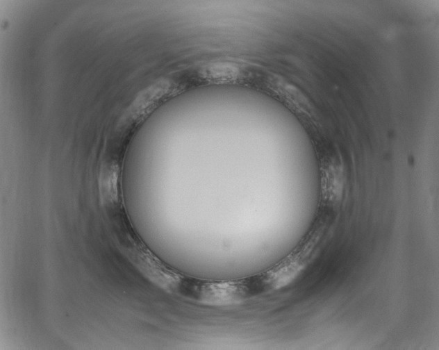 X0000062930717200601131511