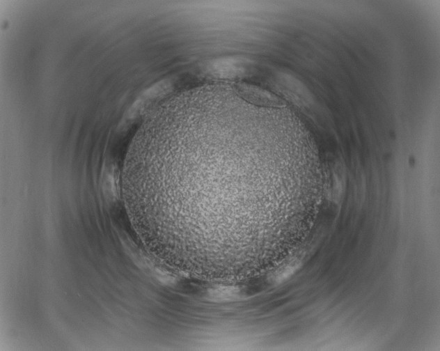 X0000062930718200601131511