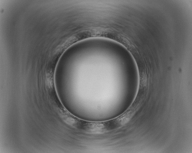 X0000062930719200601131511