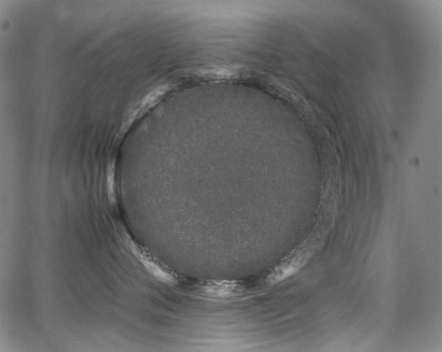 X0000062930720200601131511