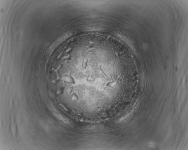 X0000062930721200601131510