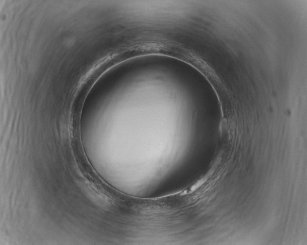 X0000062930722200601131510