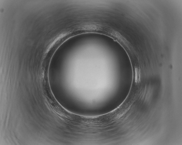 X0000062930723200601131510